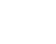 logo ZMP 2022-01 blanco